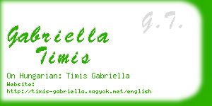 gabriella timis business card